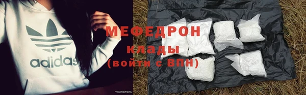 гашик Карпинск