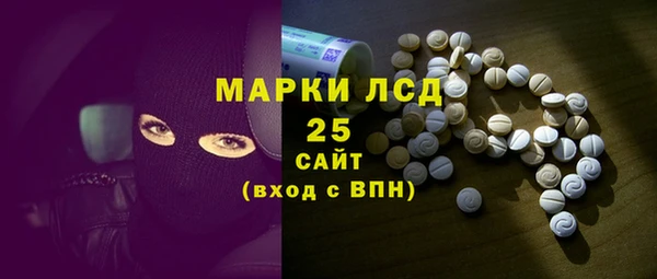 гашик Карпинск