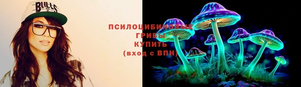 гашик Карпинск