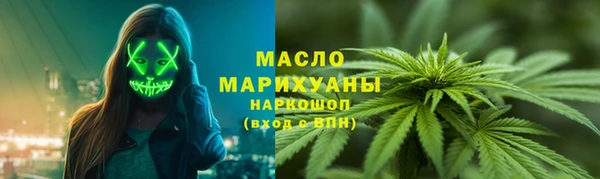 гашик Карпинск