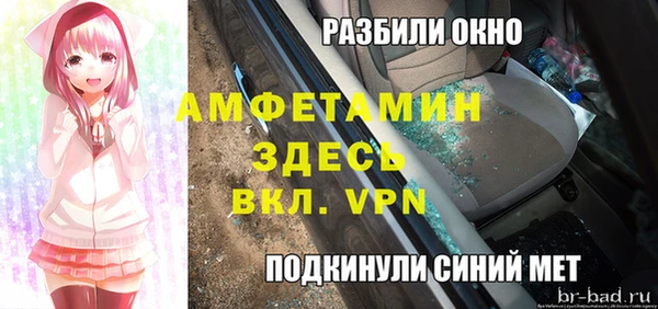 гашик Карпинск