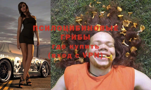 гашик Карпинск