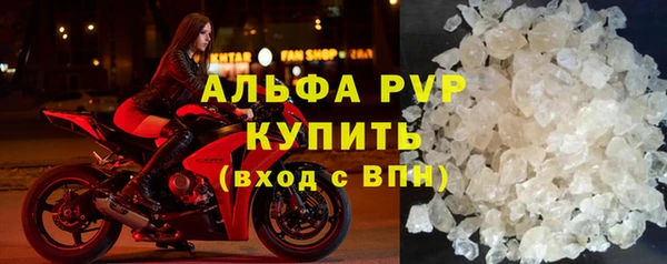 гашик Карпинск